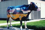 View Calgary and Area Arts & Culture