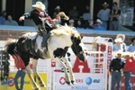 View Calgary and Area Attractions