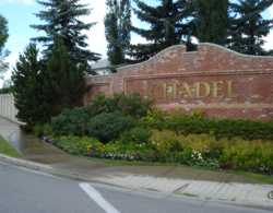 Citadel Calgary Real Estate