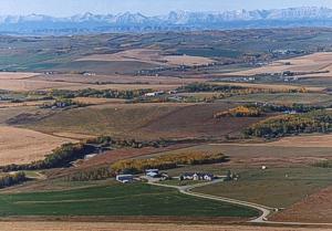 Dewinton
