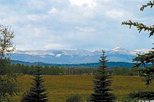 Priddis