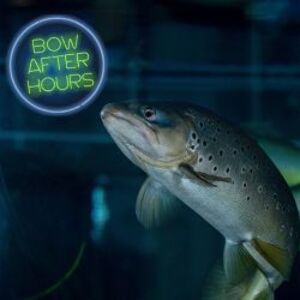  Search Calgary Community Events & parties