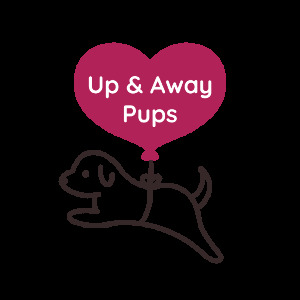  Search Sugarcreek Community pet stores